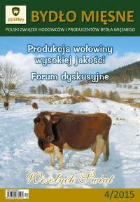 I-okladka-BM-4-2015-kop-200x288