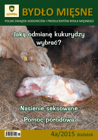 okladka-4a-2015-202x288