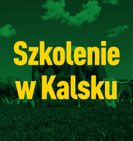 Szkolenie w Kalsku