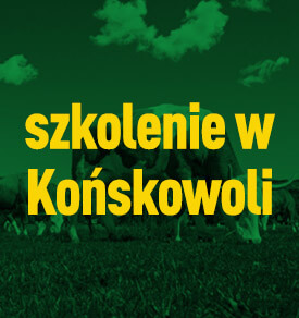 Szkolenie w Końskowoli