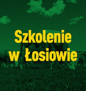 Szkolenie w Łosiowie