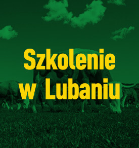 Szkolenie w Lubaniu