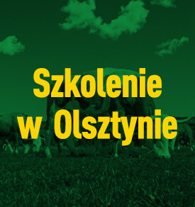 Szkolenie w Olsztynie.