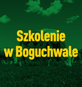 Szkolenie w Boguchwale