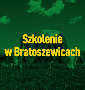 Szkolenie w Bratoszewicach