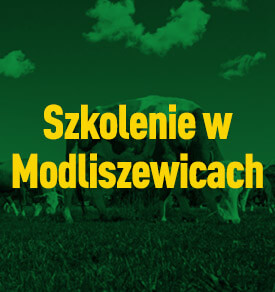 Szkolenie w Modliszewicach