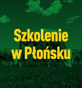Szkolenie w Płońsku